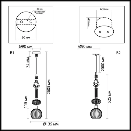 Подвесной светильник Odeon Light TERRA 5414/1C