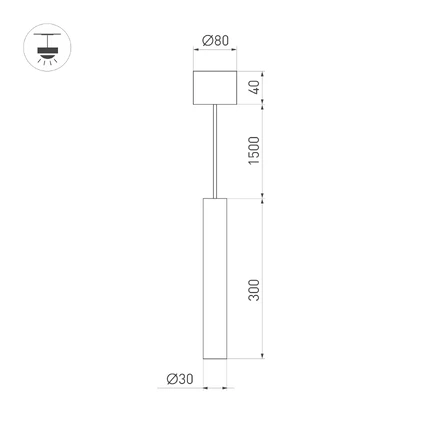 Точечный подвесной светильник SP-PIPE-HANG-L300-R30-9W Arlight 038613