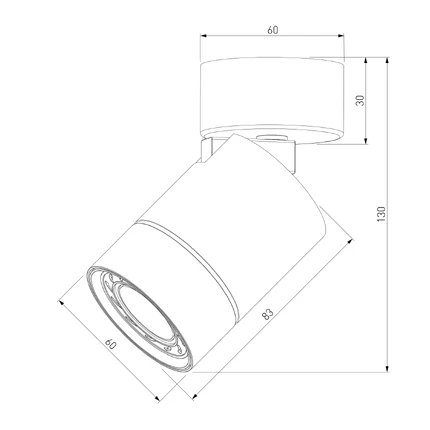Спот Elektrostandard NIRO 25013/01 4690389203268