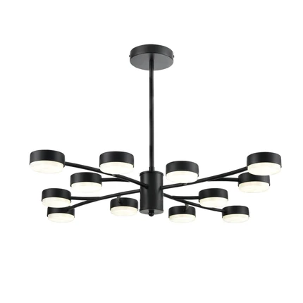 Люстра на штанге Lumion TORINA 8117/12