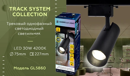 Трековый светильник Ambrella light GL5860