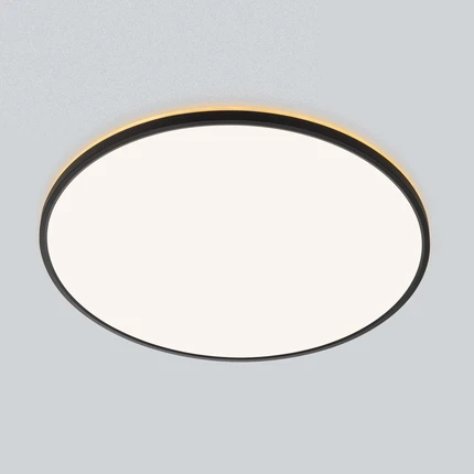 Потолочный светильник Citilux NORMA CL748601