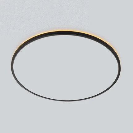 Потолочный светильник Citilux NORMA CL748601