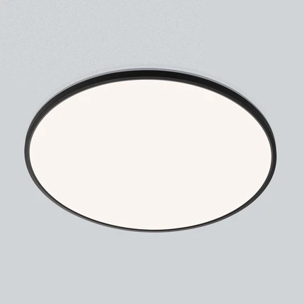 Потолочный светильник Citilux NORMA CL748601