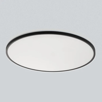 Потолочный светильник Citilux NORMA CL748601