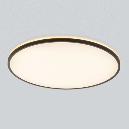 Потолочный светильник Citilux NORMA CL748601