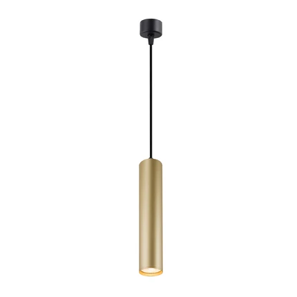 Точечный подвесной светильник Denkirs TUBE DK4050-BG