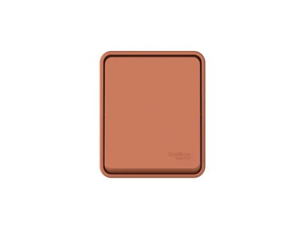 Выключатель кнопочный Systeme Electric ATLASDESIGN PROFI54 ATN547015
