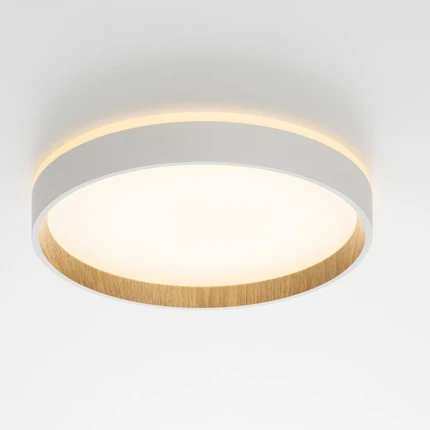 Потолочный светильник Citilux ETALON CL750240