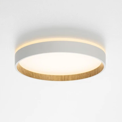 Потолочный светильник Citilux ETALON CL750240