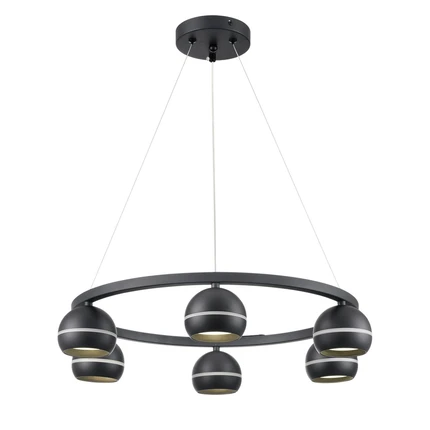 Подвесная люстра Lumion LUAZANA 8242/6