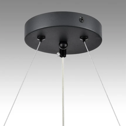 Подвесная люстра Lumion LUAZANA 8242/6