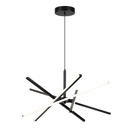 Подвесная люстра Lumion PARKER 6563/60L