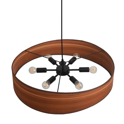 Подвесная люстра Lumion LAGOMA 8421/6A