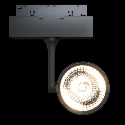 Трековый светильник Maytoni TRACK LAMPS TR024-2-10B3K