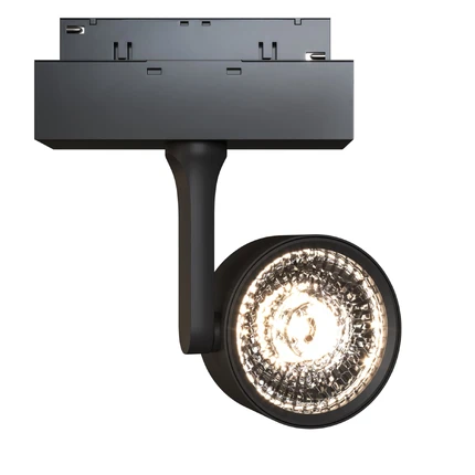 Трековый светильник Maytoni TRACK LAMPS TR024-2-10B3K