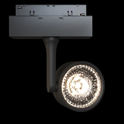Трековый светильник Maytoni TRACK LAMPS TR024-2-10B3K