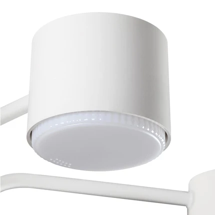 Потолочная люстра Lumion RONDO 8231/6C