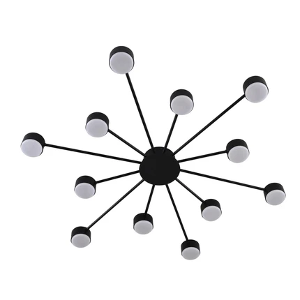 Потолочная люстра Lumion TORINA 8344/12C
