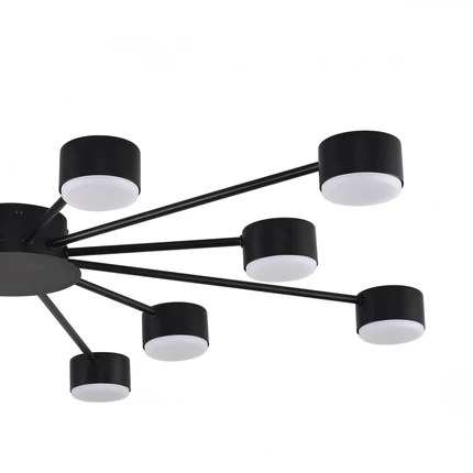 Потолочная люстра Lumion TORINA 8344/12C