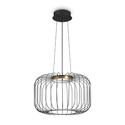 Подвесной светильник Freya CITRUS FR5398PL-L8B