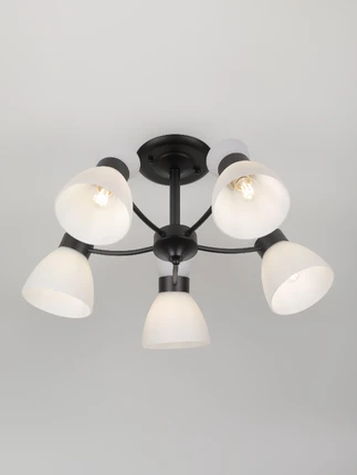 Потолочная люстра Rivoli AEMILIA 9185-305