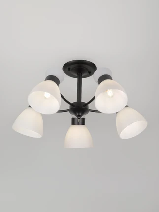Потолочная люстра Rivoli AEMILIA 9185-305