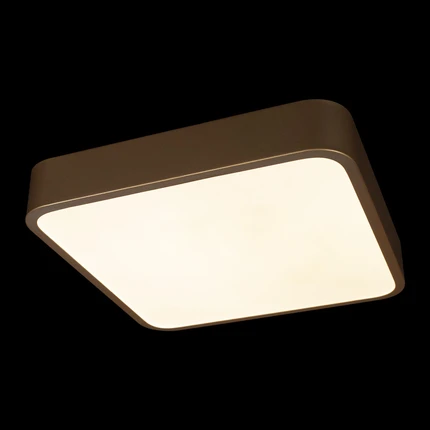Потолочный светильник Loft It FLIMS 10228/C
