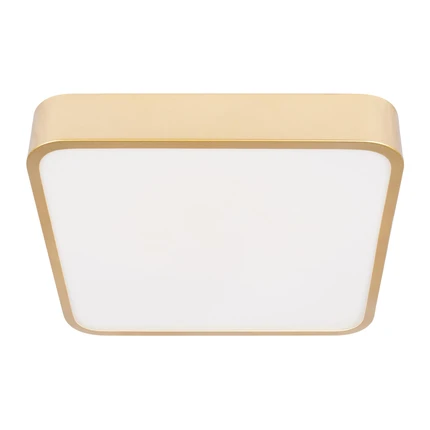 Потолочный светильник Loft It FLIMS 10228/C