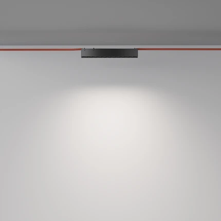 Трековый светильник Maytoni POINTS TR128B-12W4K-M-B