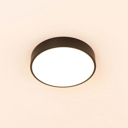 Потолочный светильник Citilux КУПЕР CL72424V1