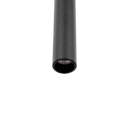 Точечный подвесной светильник Loft It METROPOLIS 10334/300 Black