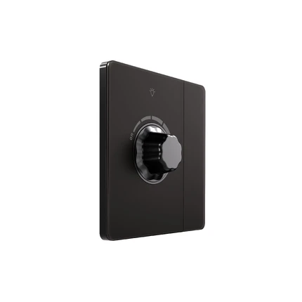 Светорегулятор с выключателем Systeme Electric SYSTEME INFINITY FSE001021