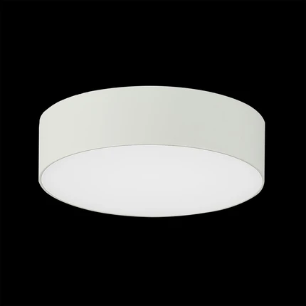 Потолочный светильник Citilux ТАО CL712120N