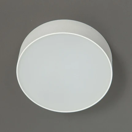 Потолочный светильник Citilux ТАО CL712120N