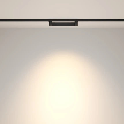 Трековый светильник Maytoni POINTS ROT TR010-1-10W4K-M-B