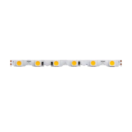 Светодиодная лента LED STRIP 24V 3000K 12W/m 5м Maytoni 20044
