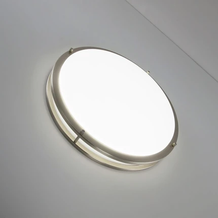 Потолочный светильник Citilux БОСТОН CL709501N