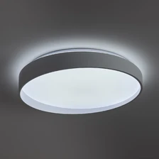 Фото потолочные светильники FR6222CL-L84W