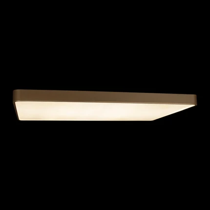 Потолочный светильник Loft It FLIMS 10228/E