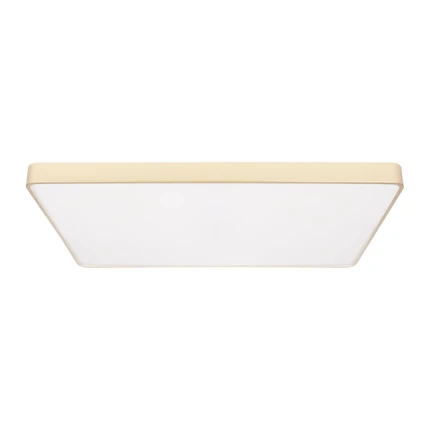 Потолочный светильник Loft It FLIMS 10228/E