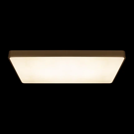 Потолочный светильник Loft It FLIMS 10228/E