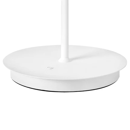 Декоративная настольная лампа Lightstar GRAZIA 608916