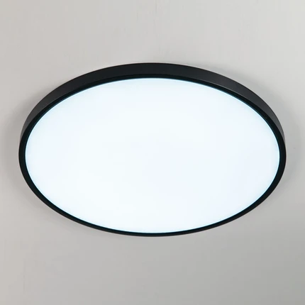 Потолочный светильник Citilux БЕЙСИК CL738501V