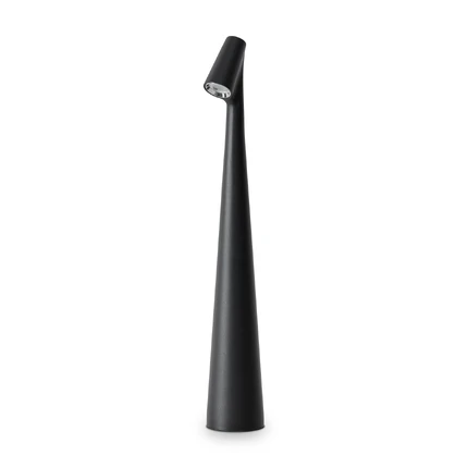 Декоративная настольная лампа Freya CLAM FR6188TL-L3B