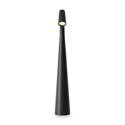 Декоративная настольная лампа Freya CLAM FR6188TL-L3B