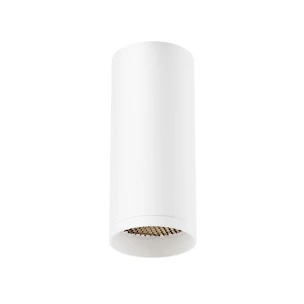 Точечный накладной светильник Maytoni FOCUS C010CL-01W-N