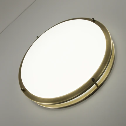 Потолочный светильник Citilux БОСТОН CL709503N
