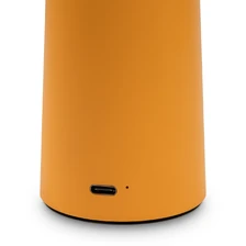 Фото декоративные настольные лампы FR6109TL-L4OR