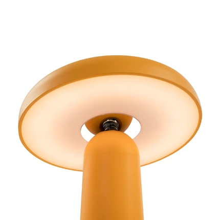 Декоративная настольная лампа Freya MUSHROOM FR6109TL-L4OR